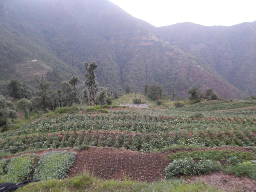 Dhanaulti Camp Homes Retreat 外观 照片